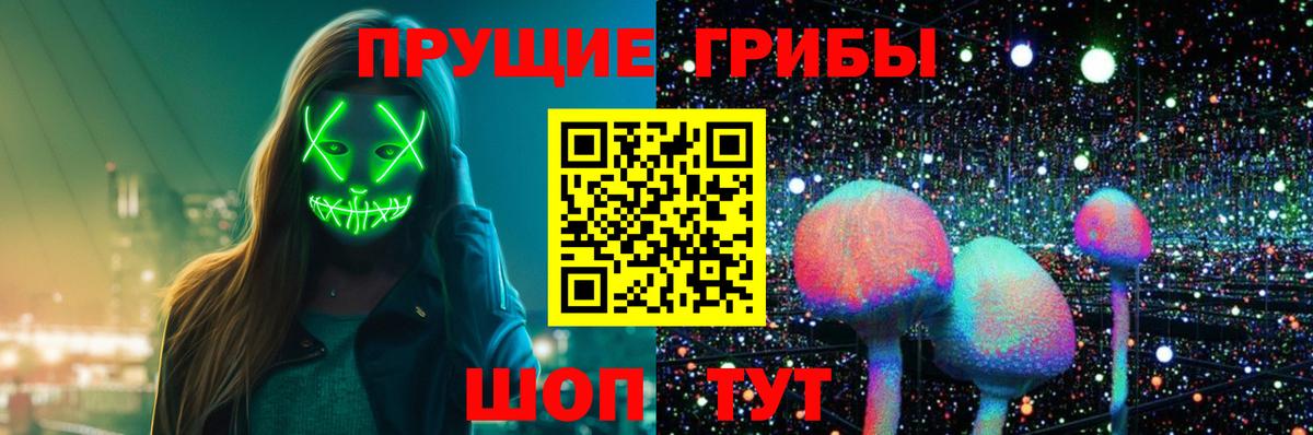 Псилоцибиновые грибы Psilocybine cubensis Азнакаево