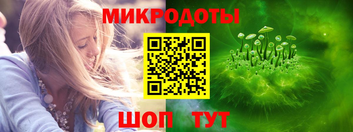Псилоцибиновые грибы Cubensis Азнакаево